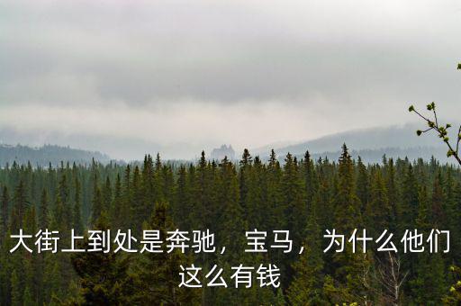 大街上到處是奔馳，寶馬，為什么他們這么有錢