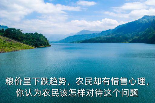 糧價呈下跌趨勢，農(nóng)民卻有惜售心理，你認(rèn)為農(nóng)民該怎樣對待這個問題