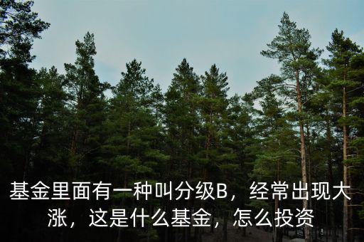 基金里面有一種叫分級B，經(jīng)常出現(xiàn)大漲，這是什么基金，怎么投資