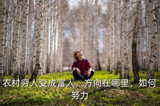農(nóng)村窮人變成富人，方向在哪里，如何努力