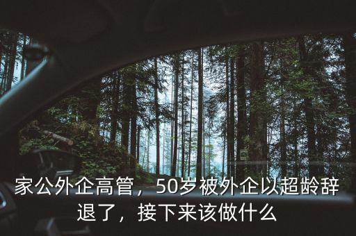 家公外企高管，50歲被外企以超齡辭退了，接下來該做什么
