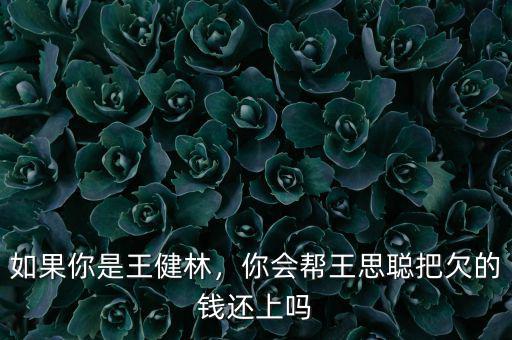 如果你是王健林，你會(huì)幫王思聰把欠的錢還上嗎