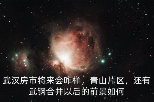 武漢房市將來(lái)會(huì)咋樣，青山片區(qū)，還有武鋼合并以后的前景如何