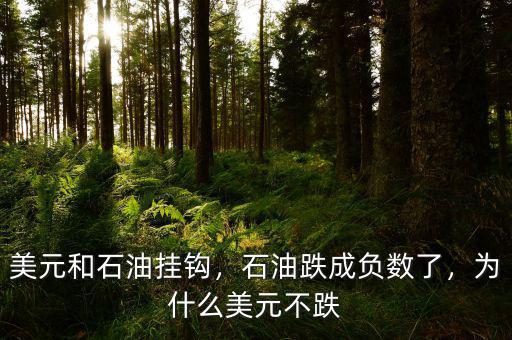 美元和石油掛鉤，石油跌成負數(shù)了，為什么美元不跌