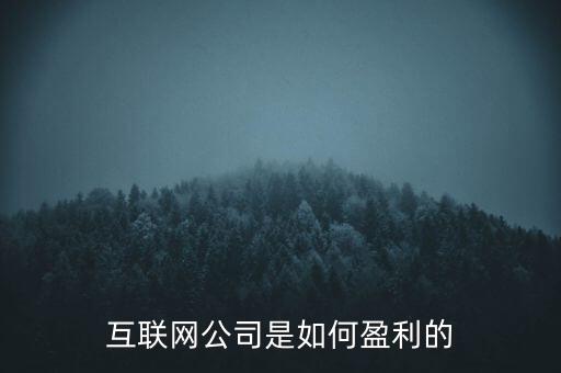 互聯(lián)網公司是如何盈利的