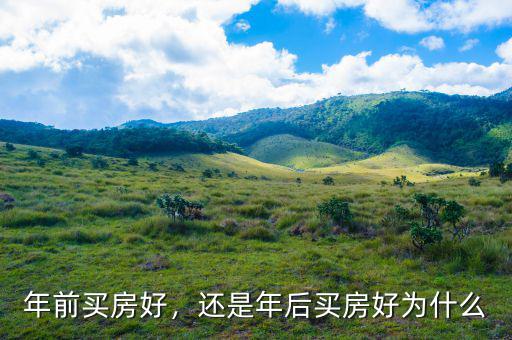 樓市崩盤(pán)前買(mǎi)房好還是怎么投資好,還是年后買(mǎi)房好。為什么