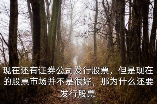 現(xiàn)在還有證券公司發(fā)行股票，但是現(xiàn)在的股票市場(chǎng)并不是很好，那為什么還要發(fā)行股票