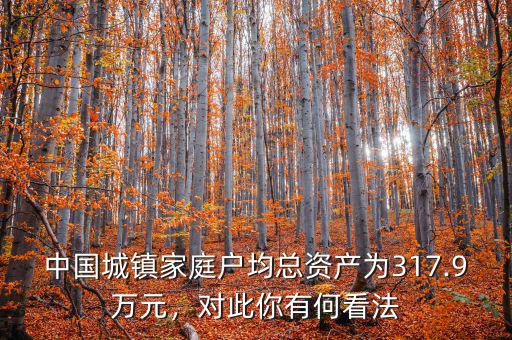 中國城鎮(zhèn)家庭戶均總資產(chǎn)為317.9萬元，對此你有何看法