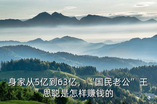 身家從5億到63億，“國民老公”王思聰是怎樣賺錢的