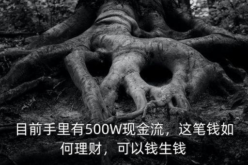 目前手里有500W現(xiàn)金流，這筆錢如何理財(cái)，可以錢生錢