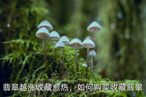 翡翠越漲收藏愈熱，如何購(gòu)買(mǎi)收藏翡翠