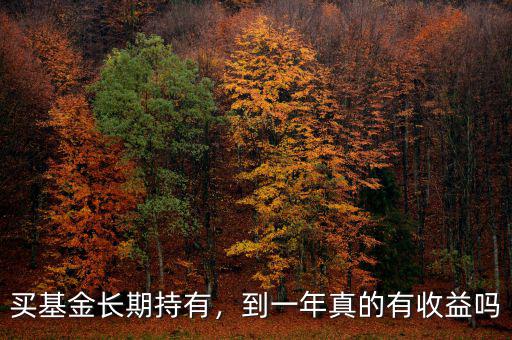 買基金長期持有，到一年真的有收益嗎