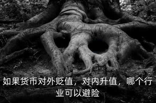 如果貨幣對外貶值，對內(nèi)升值，哪個行業(yè)可以避險
