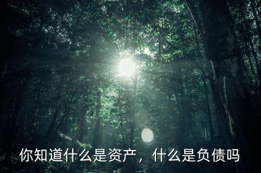 你知道什么是資產(chǎn)，什么是負(fù)債嗎