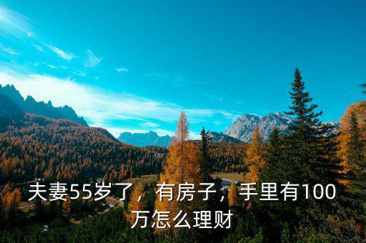 夫妻55歲了，有房子，手里有100萬怎么理財