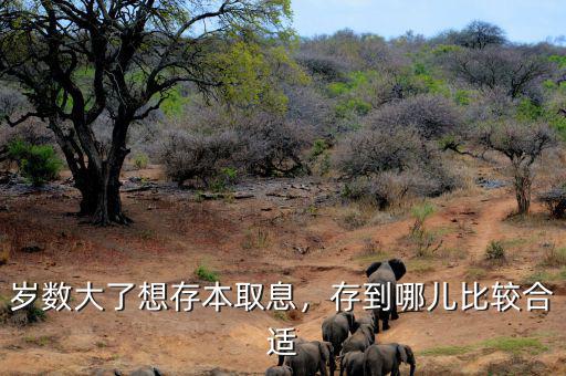 歲數(shù)大了想存本取息，存到哪兒比較合適