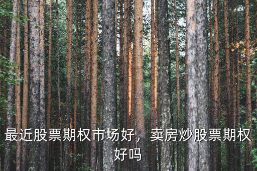 最近股票期權(quán)市場(chǎng)好，賣房炒股票期權(quán)好嗎