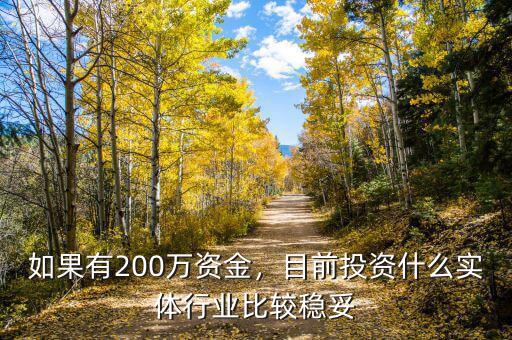 如果有200萬資金，目前投資什么實體行業(yè)比較穩(wěn)妥