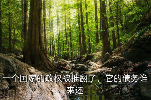 一個(gè)國(guó)家的政權(quán)被推翻了，它的債務(wù)誰(shuí)來(lái)還
