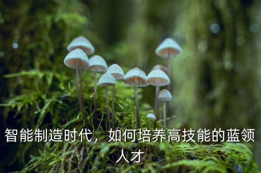 智能制造時代，如何培養(yǎng)高技能的藍(lán)領(lǐng)人才