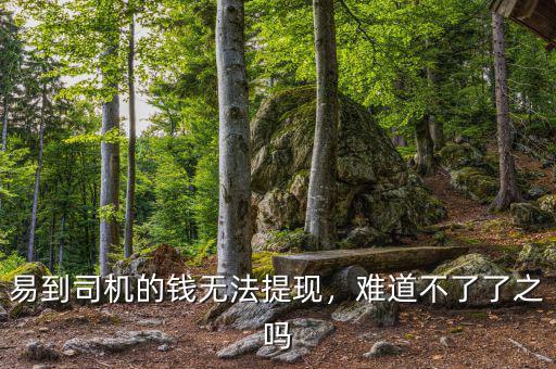 易到司機的錢無法提現(xiàn)，難道不了了之嗎