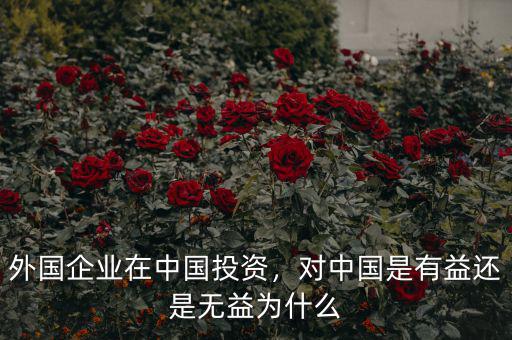 外國企業(yè)在中國投資，對中國是有益還是無益為什么