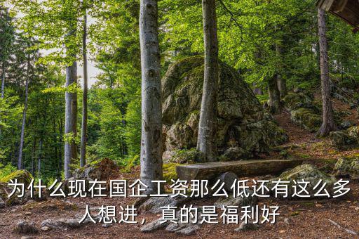 為什么現(xiàn)在國(guó)企工資那么低還有這么多人想進(jìn)，真的是福利好