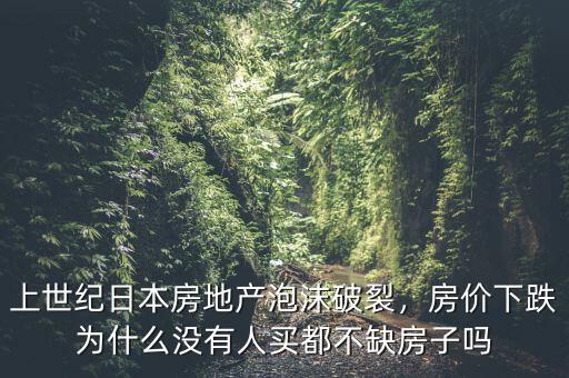 上世紀日本房地產(chǎn)泡沫破裂，房價下跌為什么沒有人買都不缺房子嗎