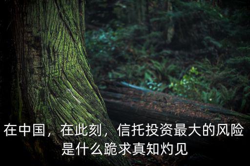 在中國，在此刻，信托投資最大的風(fēng)險是什么跪求真知灼見