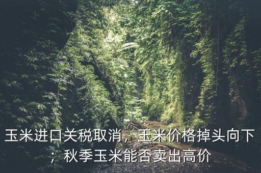 玉米進(jìn)口關(guān)稅取消，玉米價(jià)格掉頭向下；秋季玉米能否賣出高價(jià)