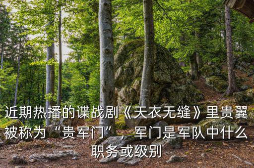 近期熱播的諜戰(zhàn)劇《天衣無縫》里貴翼被稱為“貴軍門”，軍門是軍隊(duì)中什么職務(wù)或級別