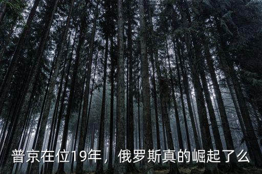 普京在位19年，俄羅斯真的崛起了么