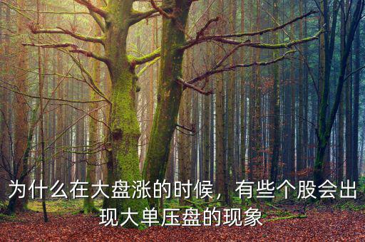 為什么在大盤漲的時候，有些個股會出現大單壓盤的現象