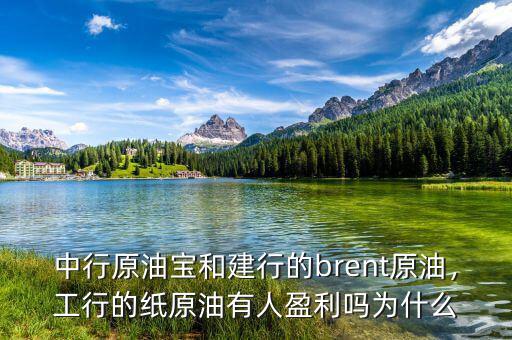 中行原油寶和建行的brent原油，工行的紙原油有人盈利嗎為什么