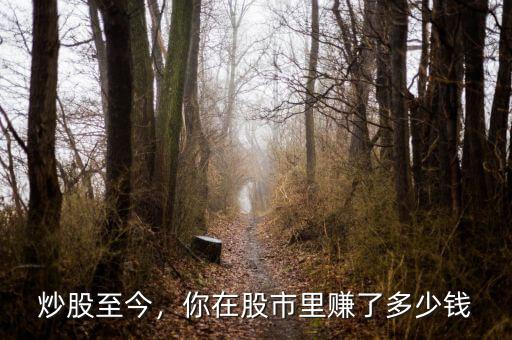 炒股至今，你在股市里賺了多少錢