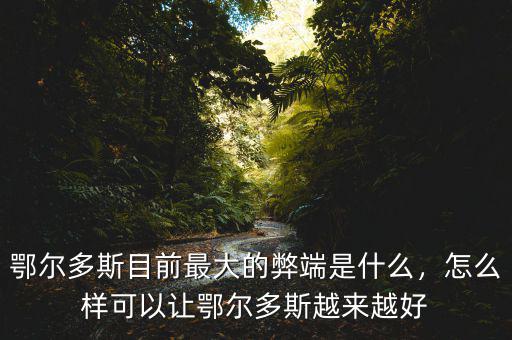 鄂爾多斯目前最大的弊端是什么，怎么樣可以讓鄂爾多斯越來越好