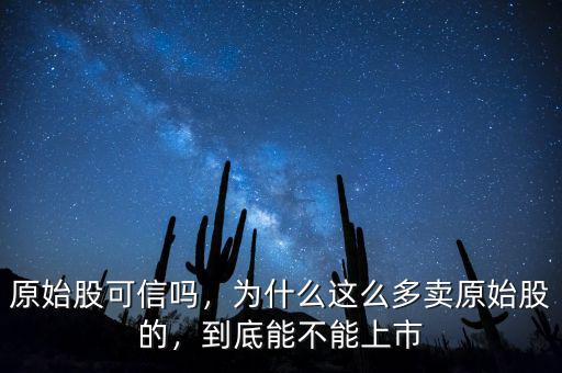 原始股可信嗎，為什么這么多賣原始股的，到底能不能上市