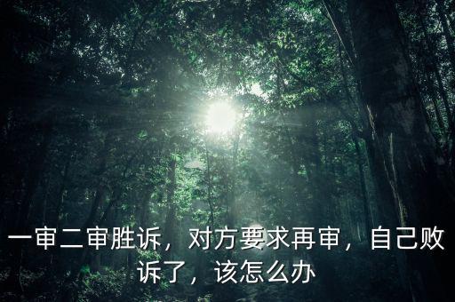 一審二審勝訴，對方要求再審，自己敗訴了，該怎么辦