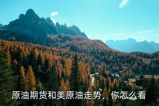 原油期貨和美原油走勢，你怎么看