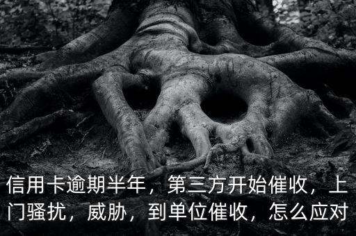 信用卡逾期半年，第三方開(kāi)始催收，上門(mén)騷擾，威脅，到單位催收，怎么應(yīng)對(duì)