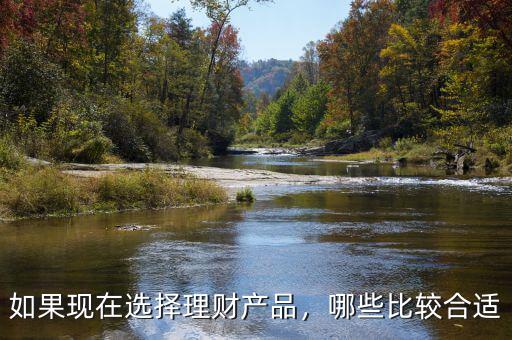 選擇什么理財產品,如果現(xiàn)在選擇理財產品