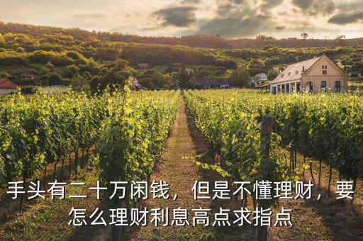 手頭有二十萬閑錢，但是不懂理財(cái)，要怎么理財(cái)利息高點(diǎn)求指點(diǎn)