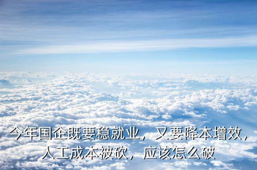 今年國(guó)企既要穩(wěn)就業(yè)，又要降本增效，人工成本被砍，應(yīng)該怎么破