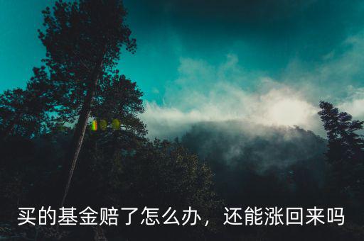 買的基金賠了怎么辦，還能漲回來嗎