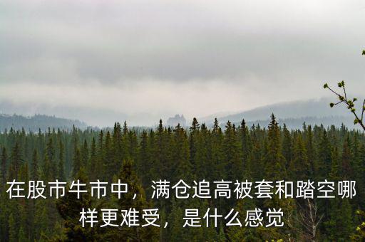 在股市牛市中，滿倉追高被套和踏空哪樣更難受，是什么感覺