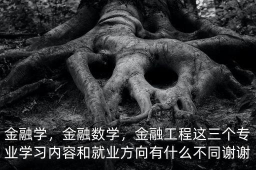 金融學(xué)，金融數(shù)學(xué)，金融工程這三個(gè)專業(yè)學(xué)習(xí)內(nèi)容和就業(yè)方向有什么不同謝謝