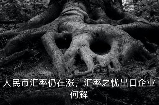 人民幣匯漲出口怎么辦,匯率之憂(yōu)出口企業(yè)何解