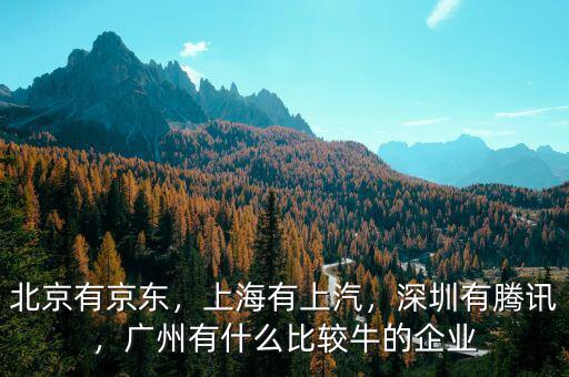 北京有京東，上海有上汽，深圳有騰訊，廣州有什么比較牛的企業(yè)