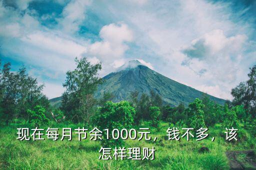 現(xiàn)在每月節(jié)余1000元，錢不多，該怎樣理財(cái)