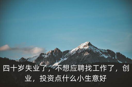 四十歲失業(yè)了，不想應(yīng)聘找工作了，創(chuàng)業(yè)，投資點(diǎn)什么小生意好